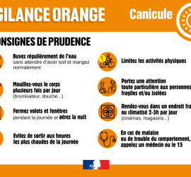 vigilance_orange.png